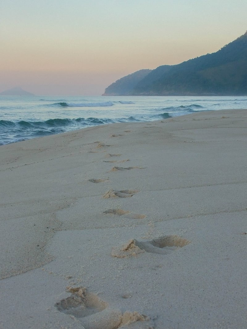 Seaside Retreats